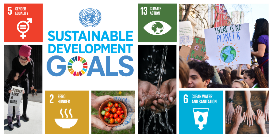 Philanthropy and Sustainable Development Goals