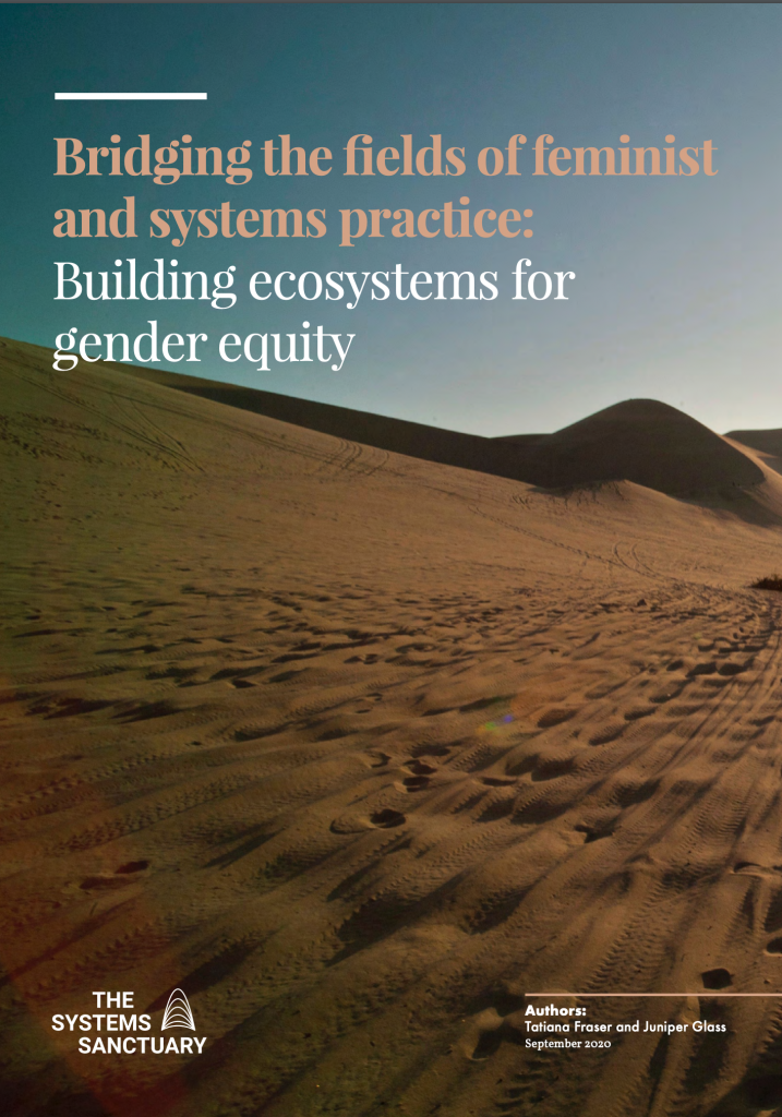 Bridging the fields of feminist and systems practice