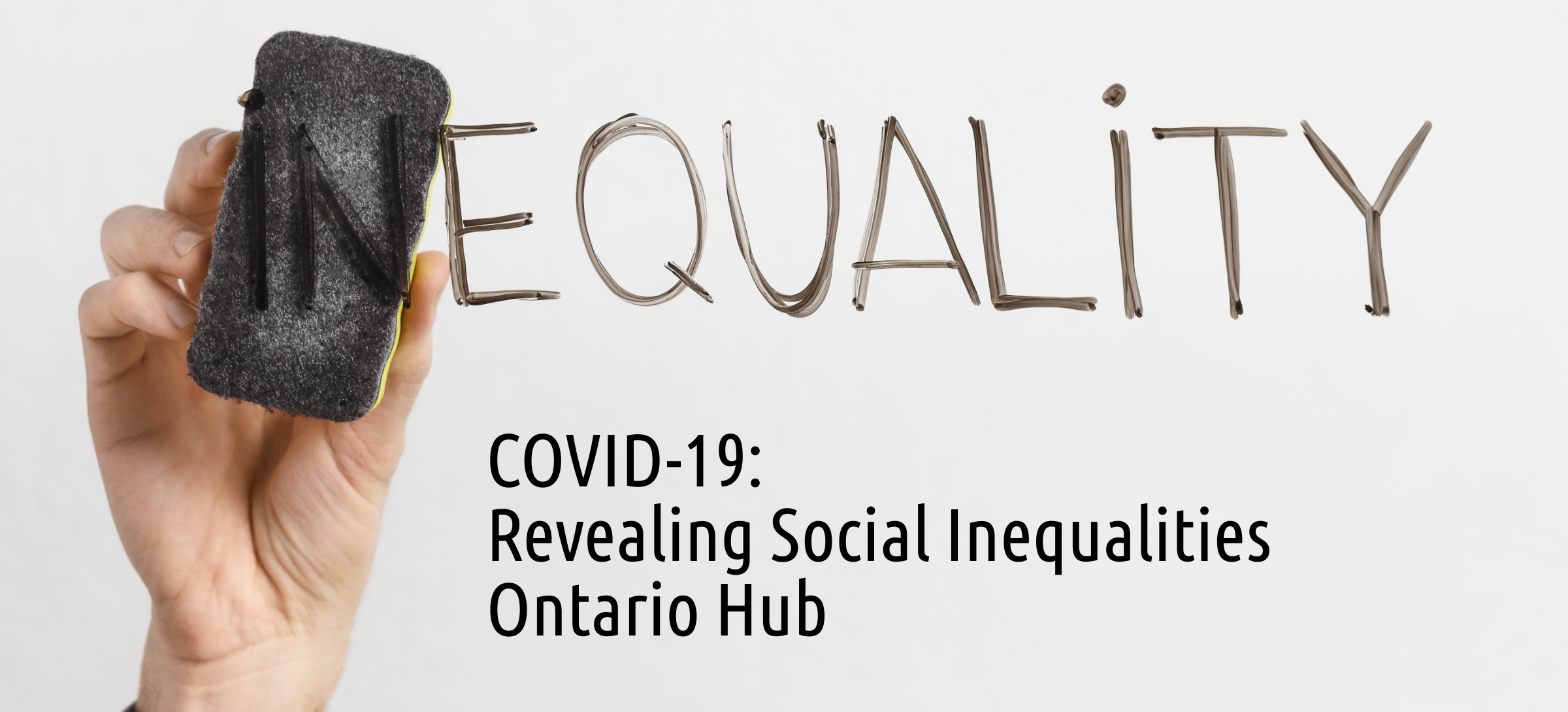 COVID-19 Social Inequalities