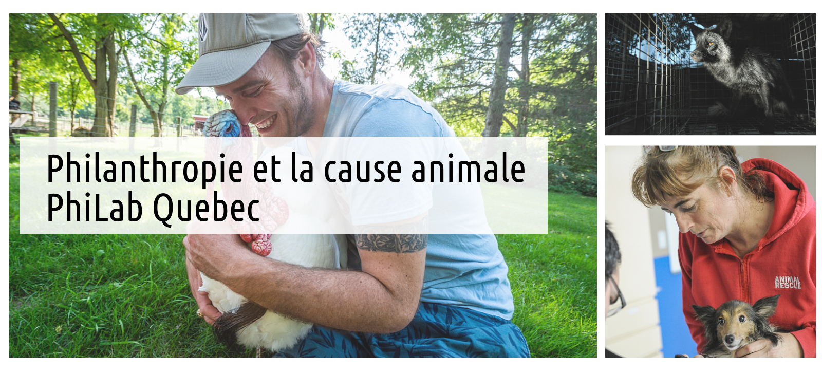 Philanthropie et la cause animale