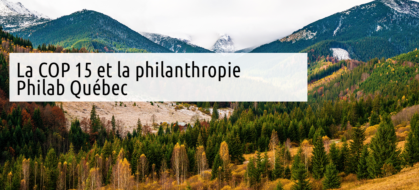 COP15 et la philanthropie