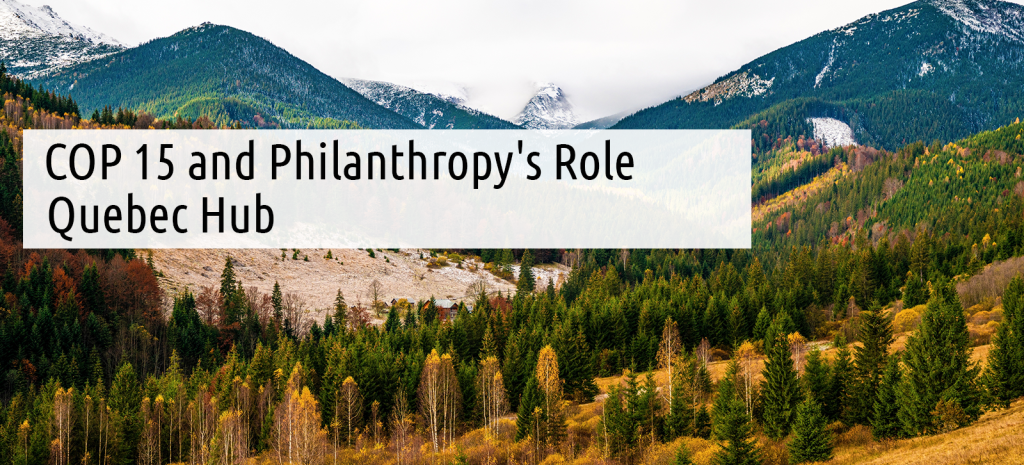 COP 15 and philanthropy's role